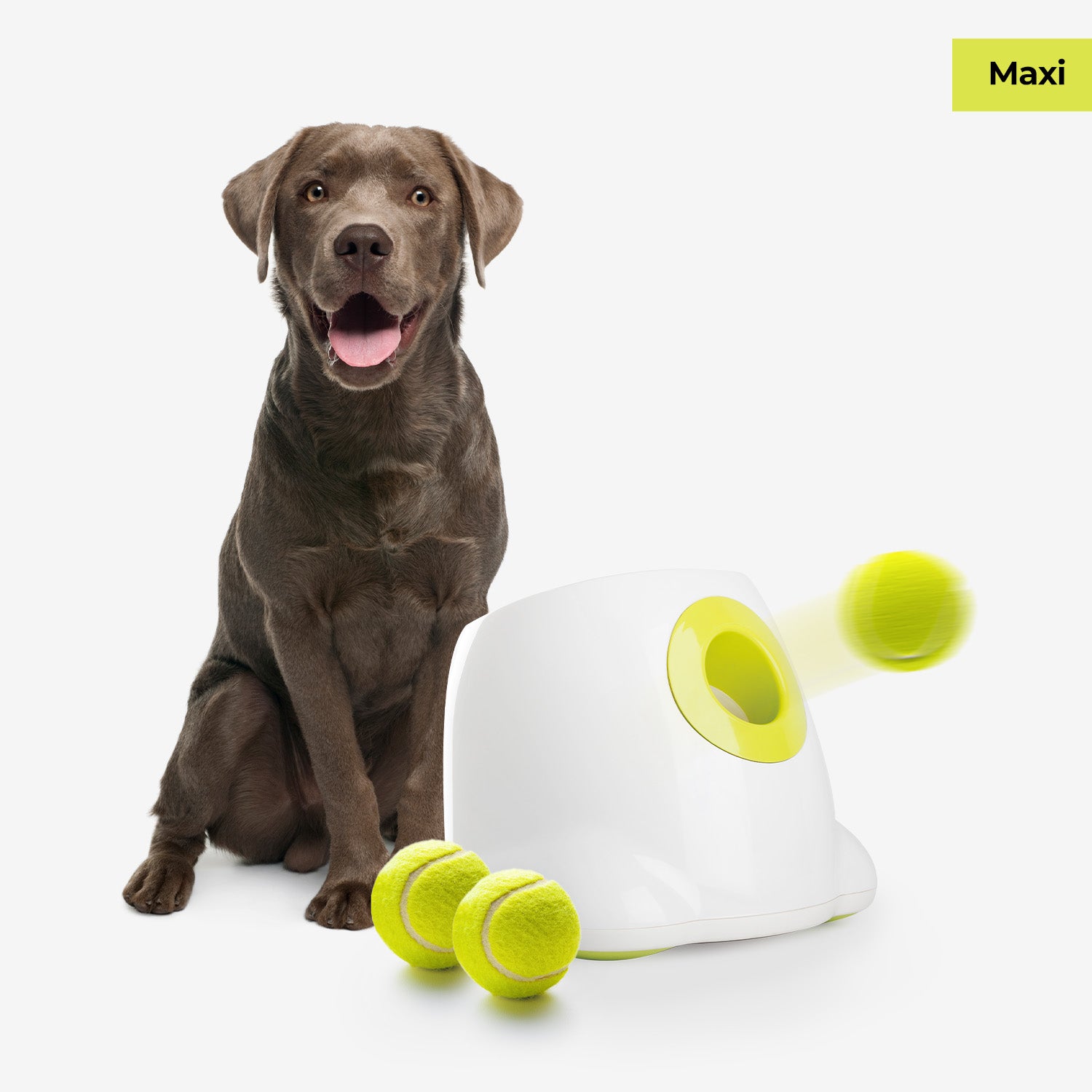 AFP-Allforpaws Maxi Hyper Fetch Automatic Ball Launcher For Large Dogs