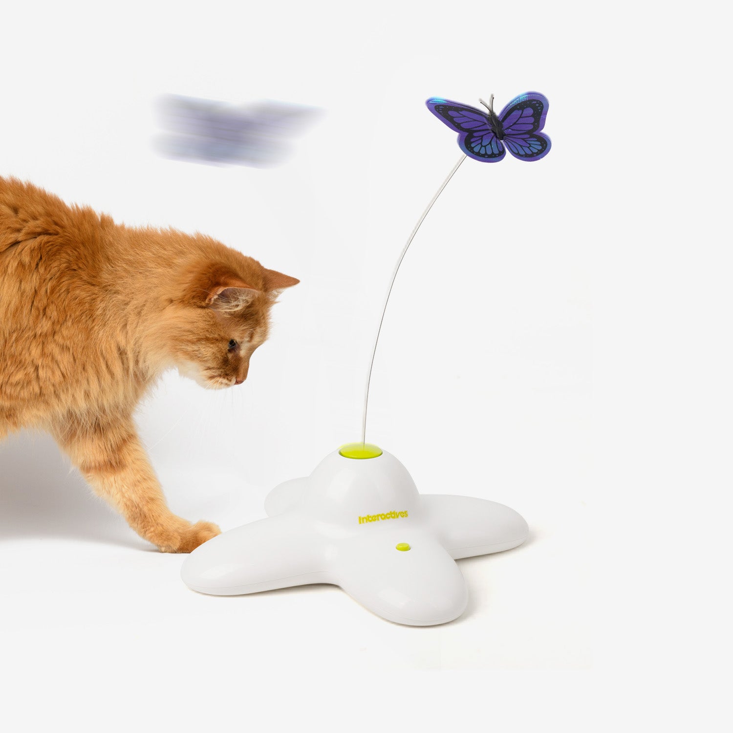 AFP-Allforpaws Automatic Flutter Butterfly Cat Toy with 2 Replacement Bugs