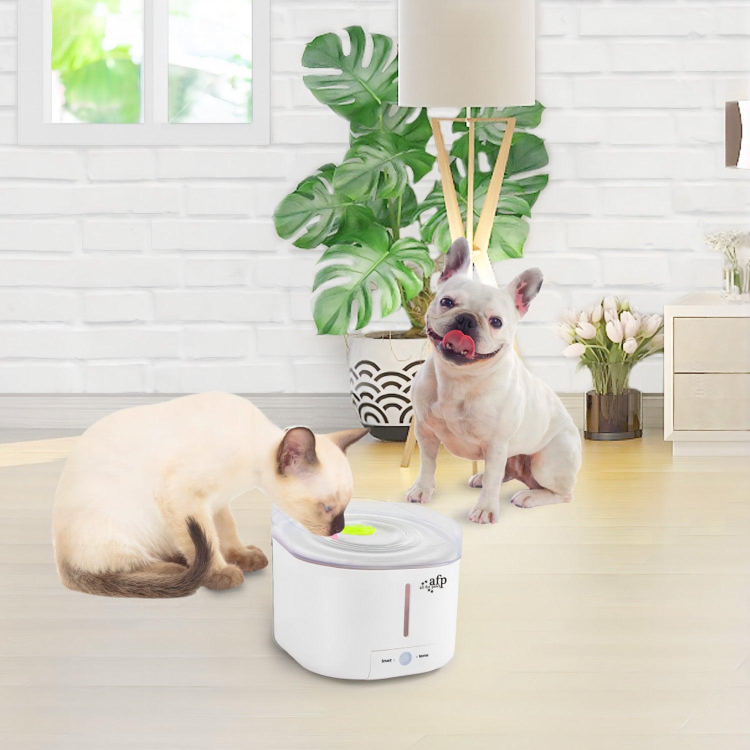 Afp pet water fountain best sale