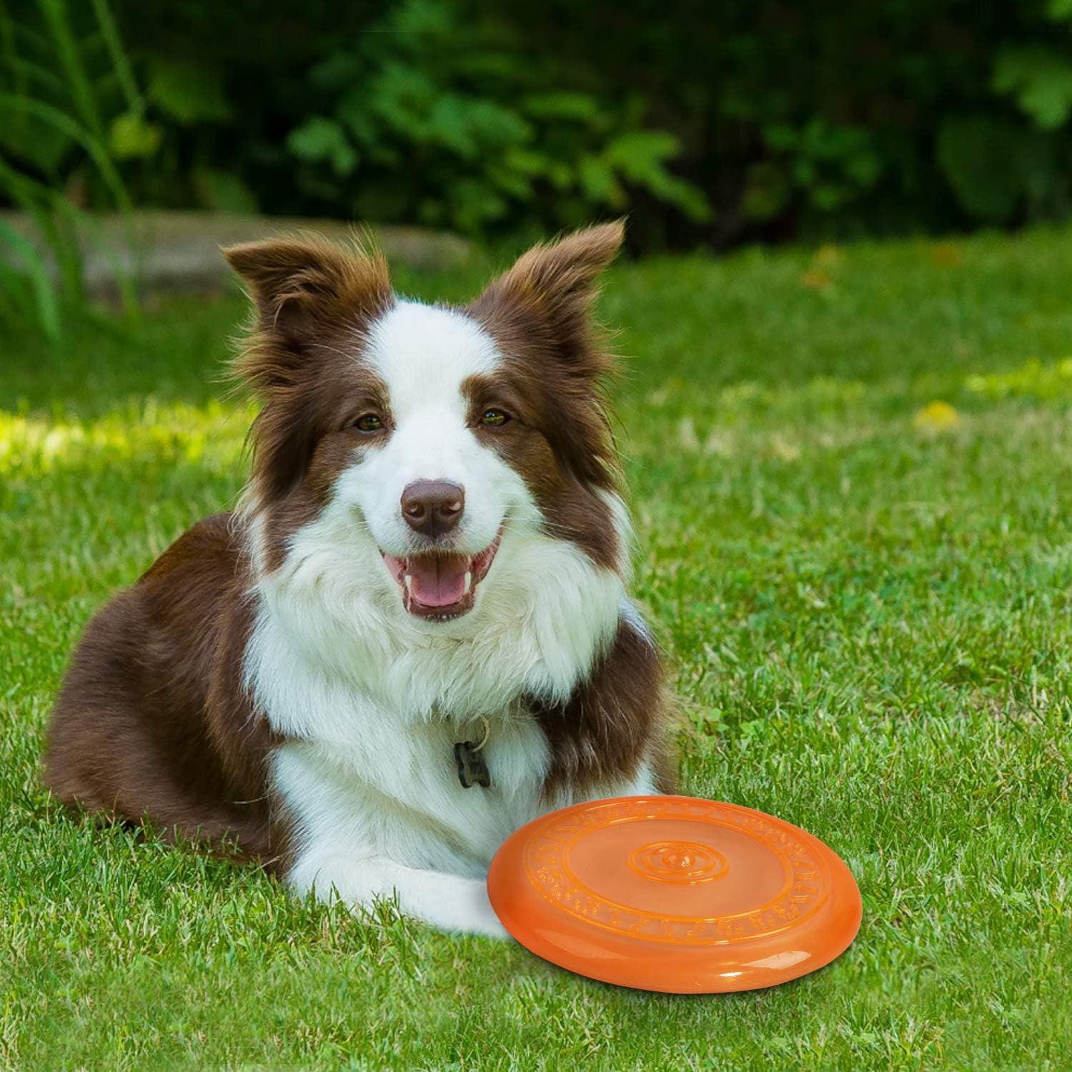 AFP (All For Paws) Flying Disc Dog Toy