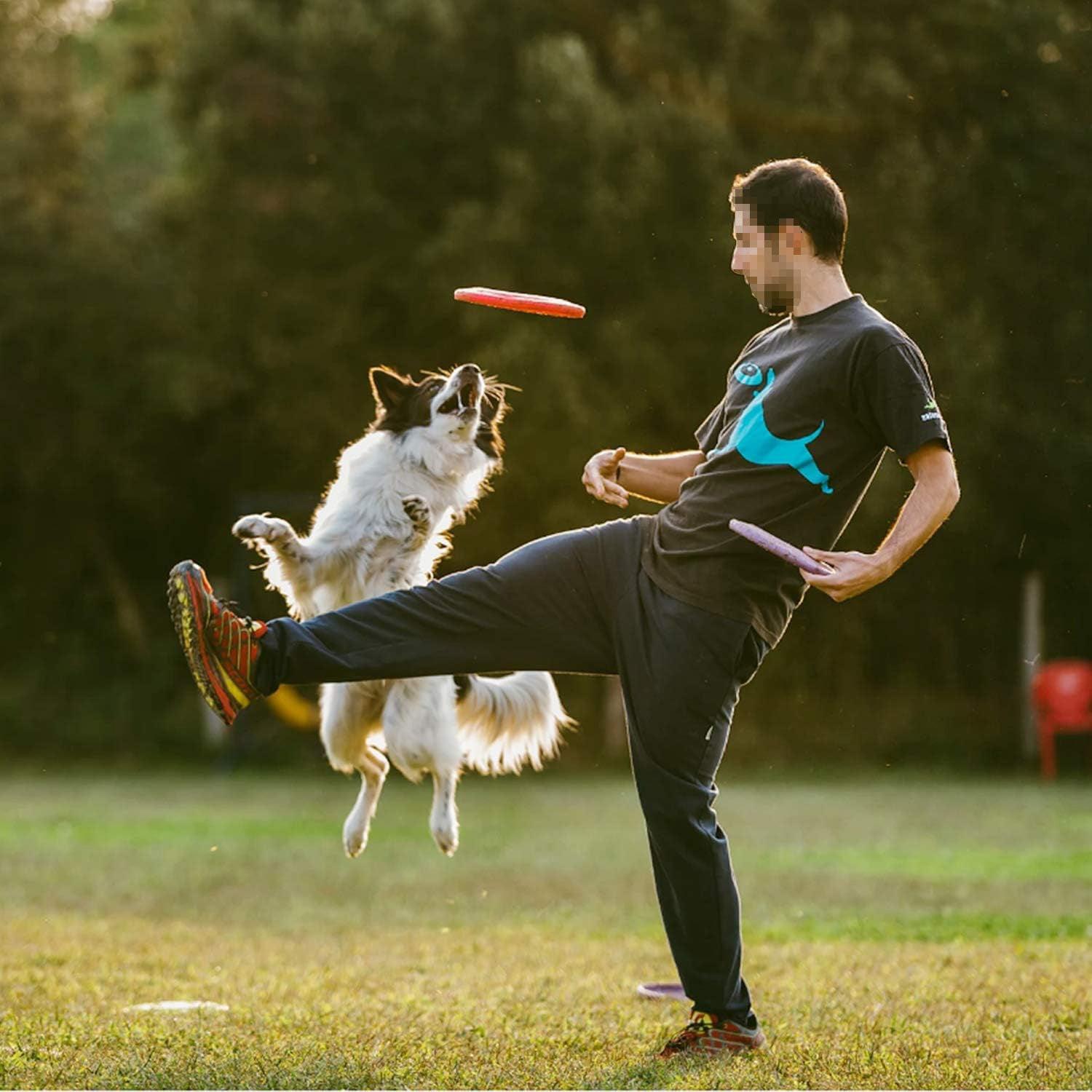 AFP (All For Paws) Flying Disc Dog Toy