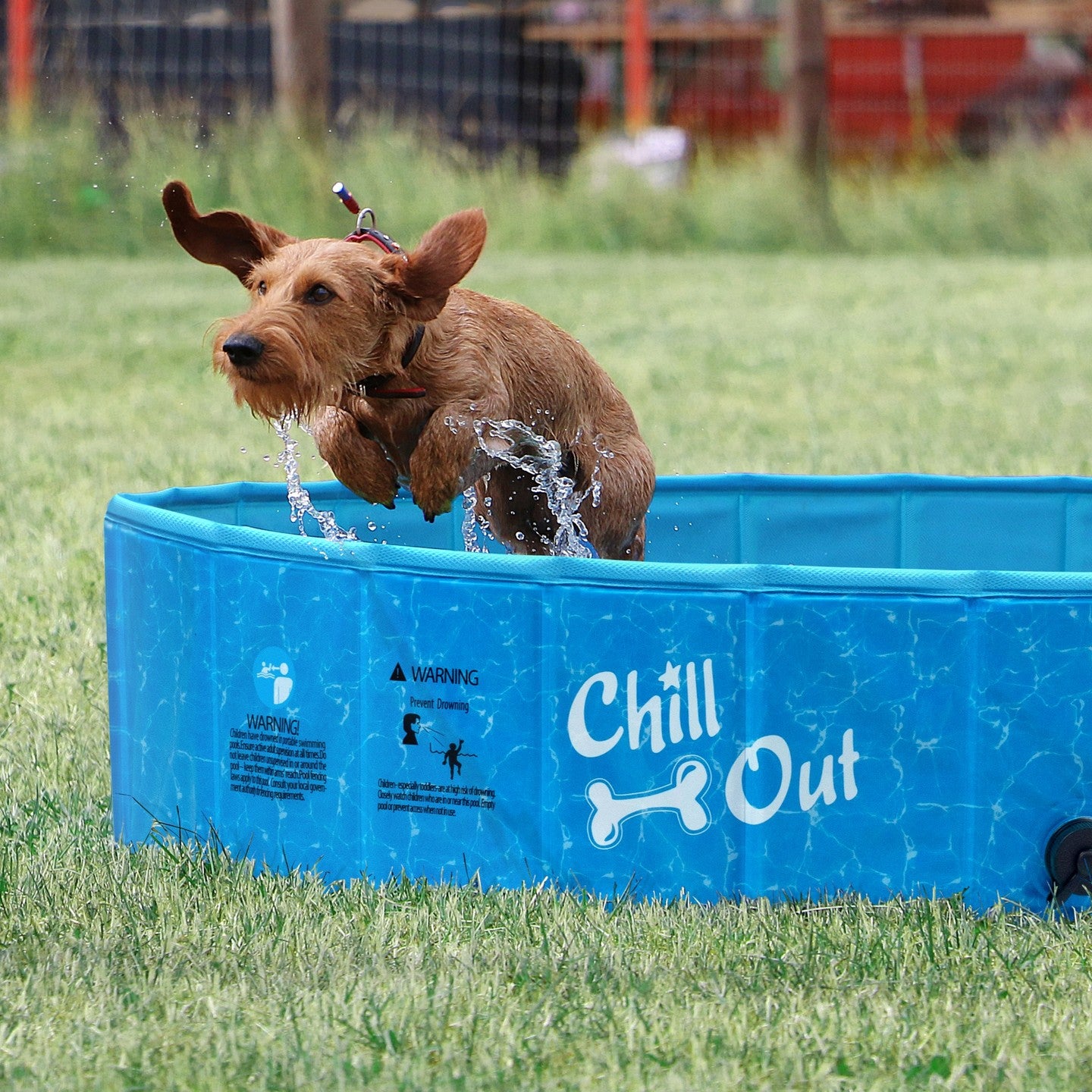 AFP-Allforpaws Foldable Dog Swimming Pool   