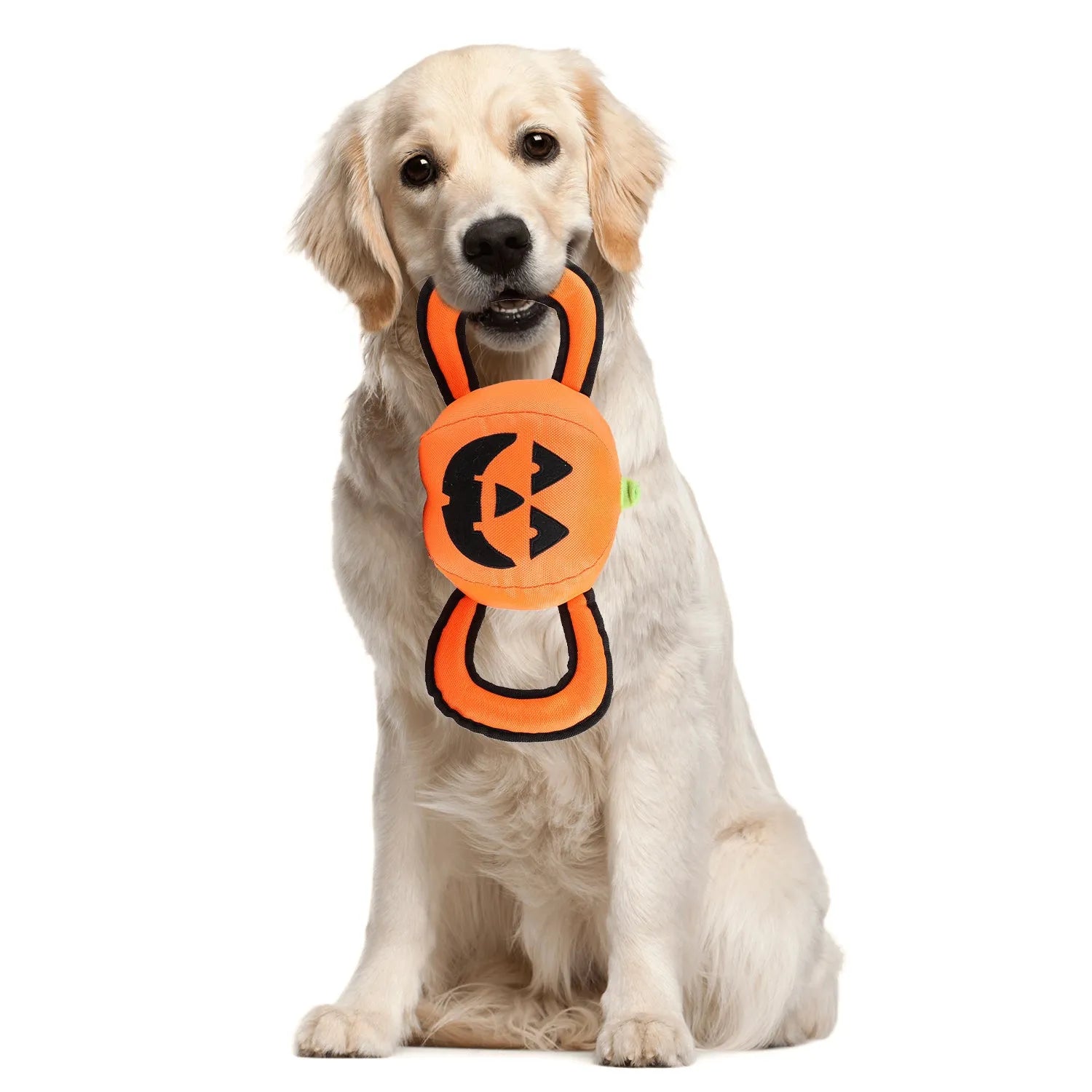 AFP-Allforpaws Halloween Handle Ballistic Pumpkin Ball 