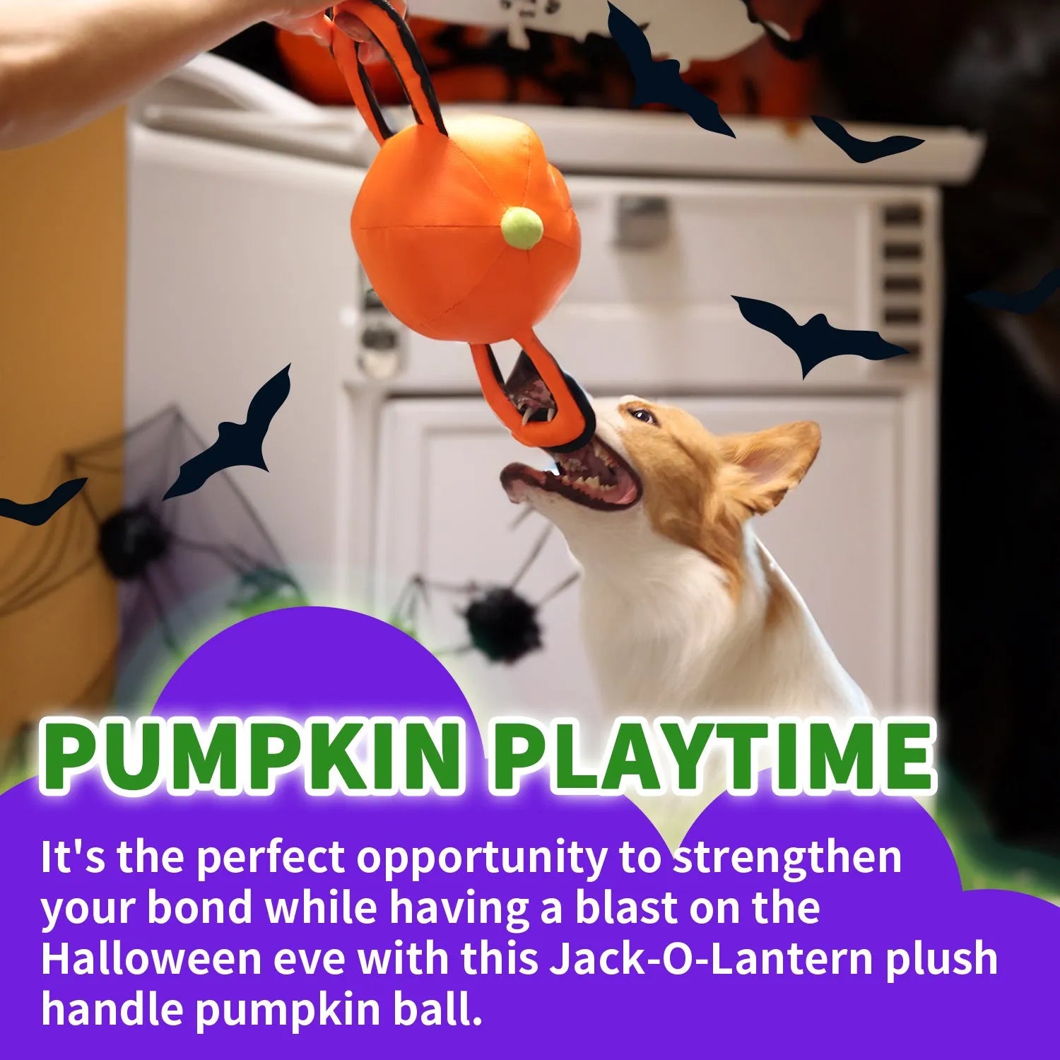 AFP-Allforpaws Halloween Handle Ballistic Pumpkin Ball 
