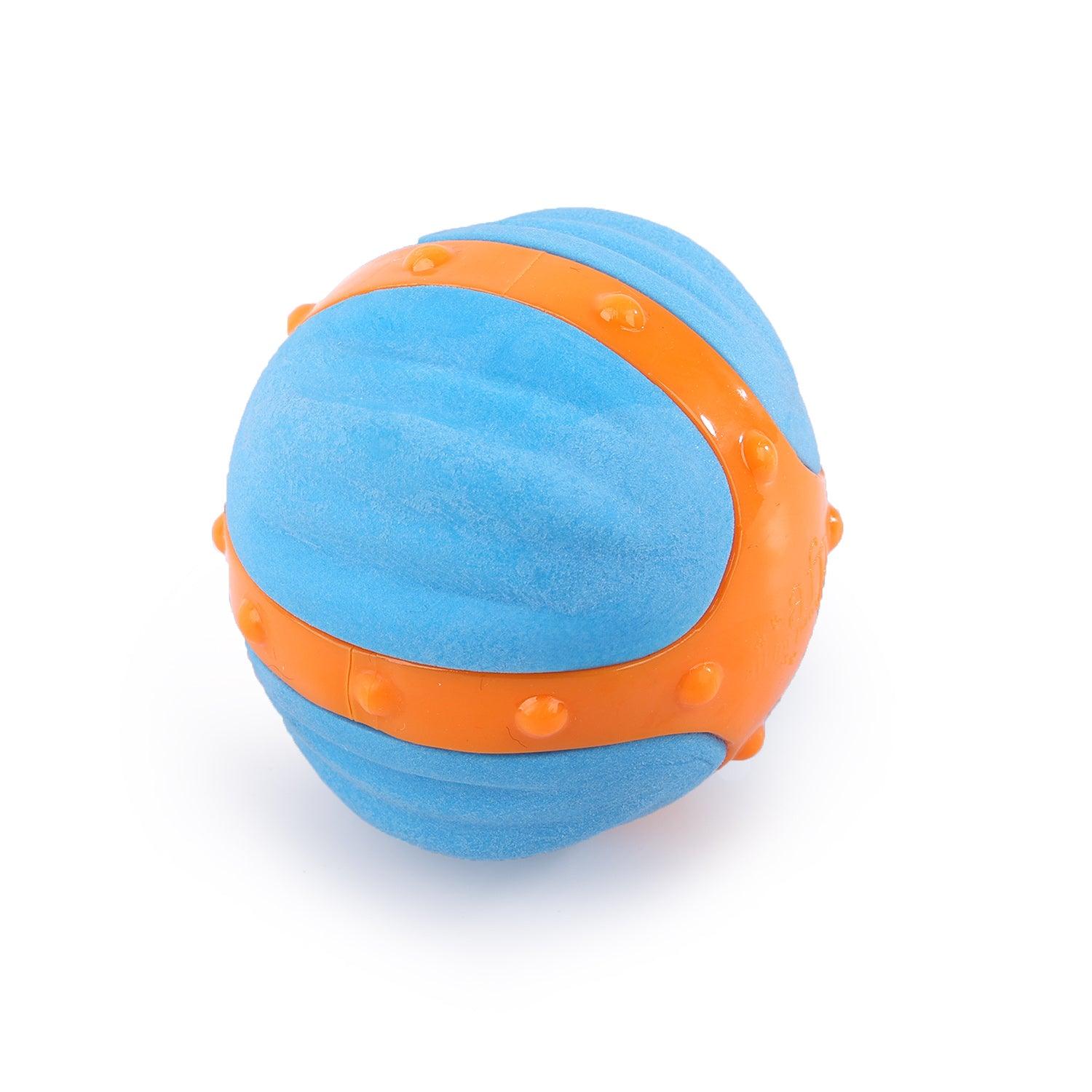 AFP (All For Paws) High Bounce Meta Ball