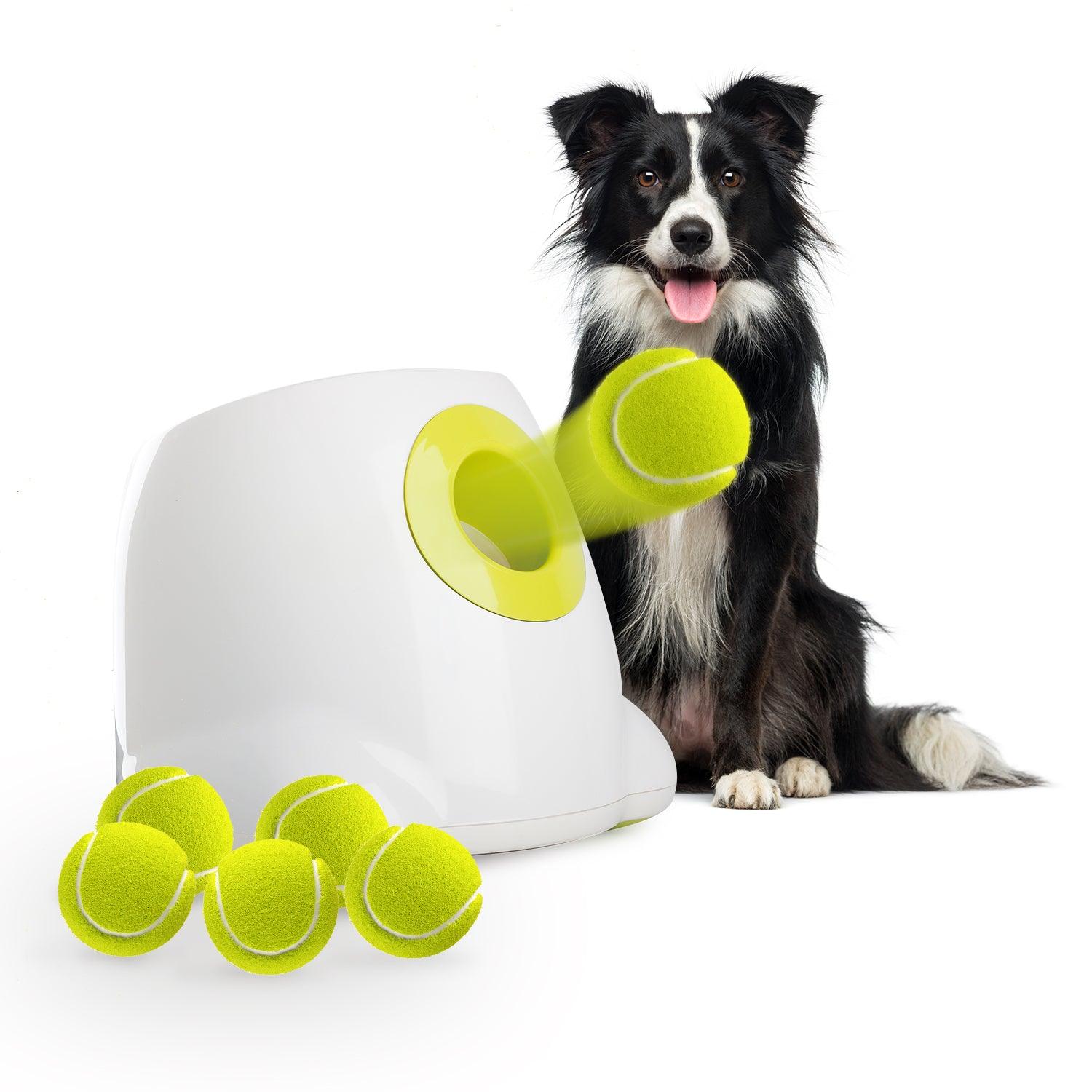 AFP (All For Paws) Hyper Fetch Automatic Ball Launcher