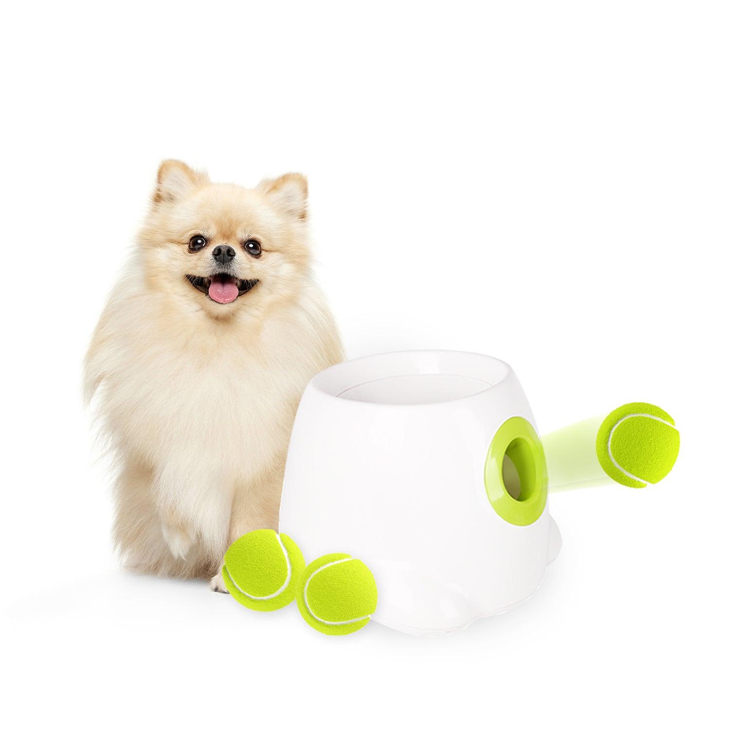 AFP Allforpaws Maxi Hyper Fetch Automatic Ball Launcher For Large Dogs AFP All For Paws Pet Products