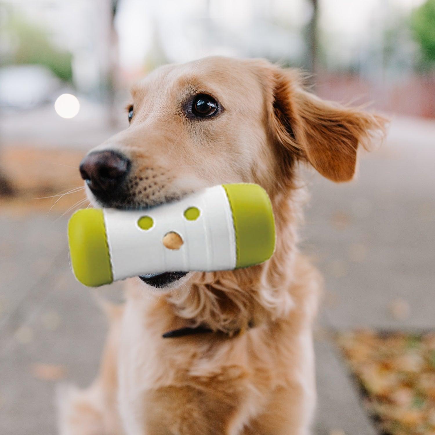 AFP (All For Paws)interactive dog treat frenzy roll