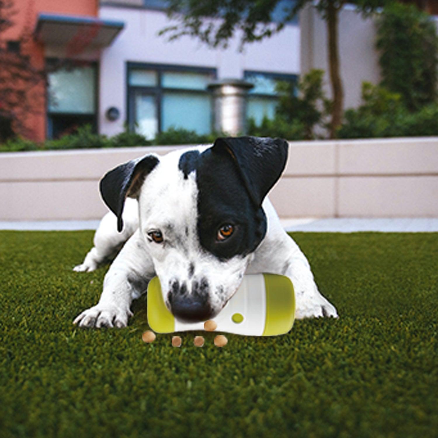 AFP (All For Paws)interactive dog treat frenzy roll