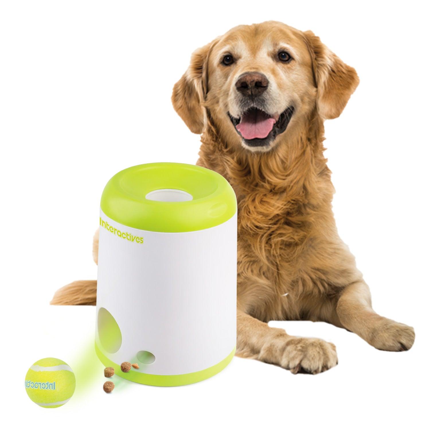 AFP (All For Paws)Interactive Fetch-N-Treat Dog Toy