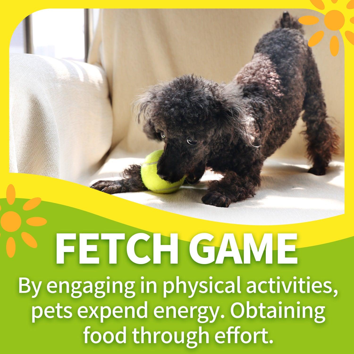 AFP (All For Paws)Interactive Fetch-N-Treat Dog Toy