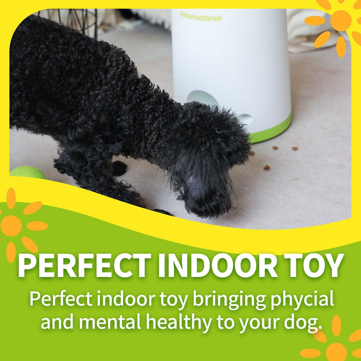 AFP-Allforpaws Interactive Fetch-N-Treat Dog Toy
