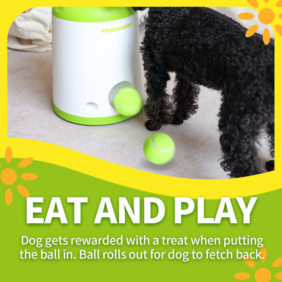 AFP-Allforpaws Interactive Fetch-N-Treat Dog Toy