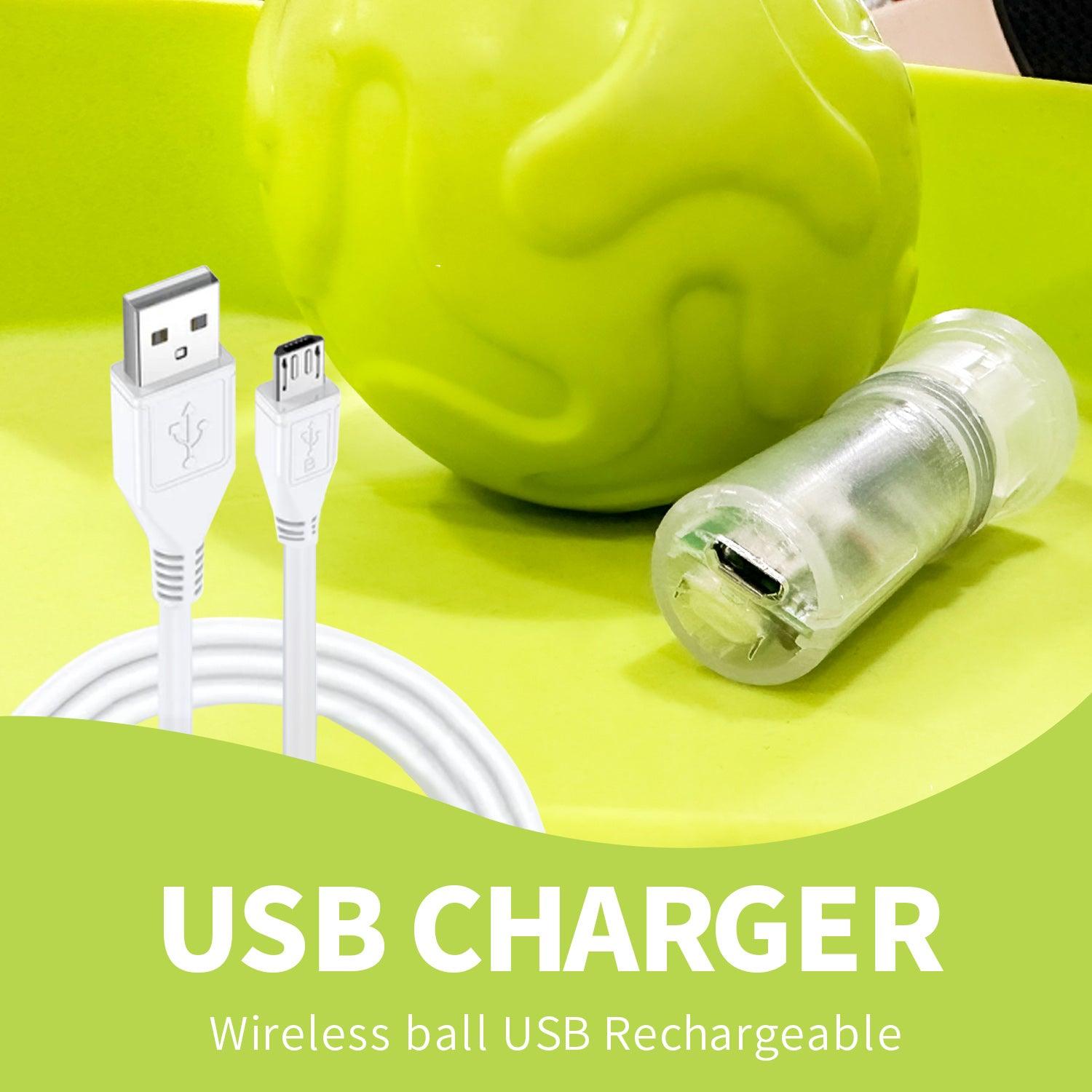 All For Paws🐾 Lucky Treat Automatic Dog Feeder with Rolling Ball - All for Paws Pet 