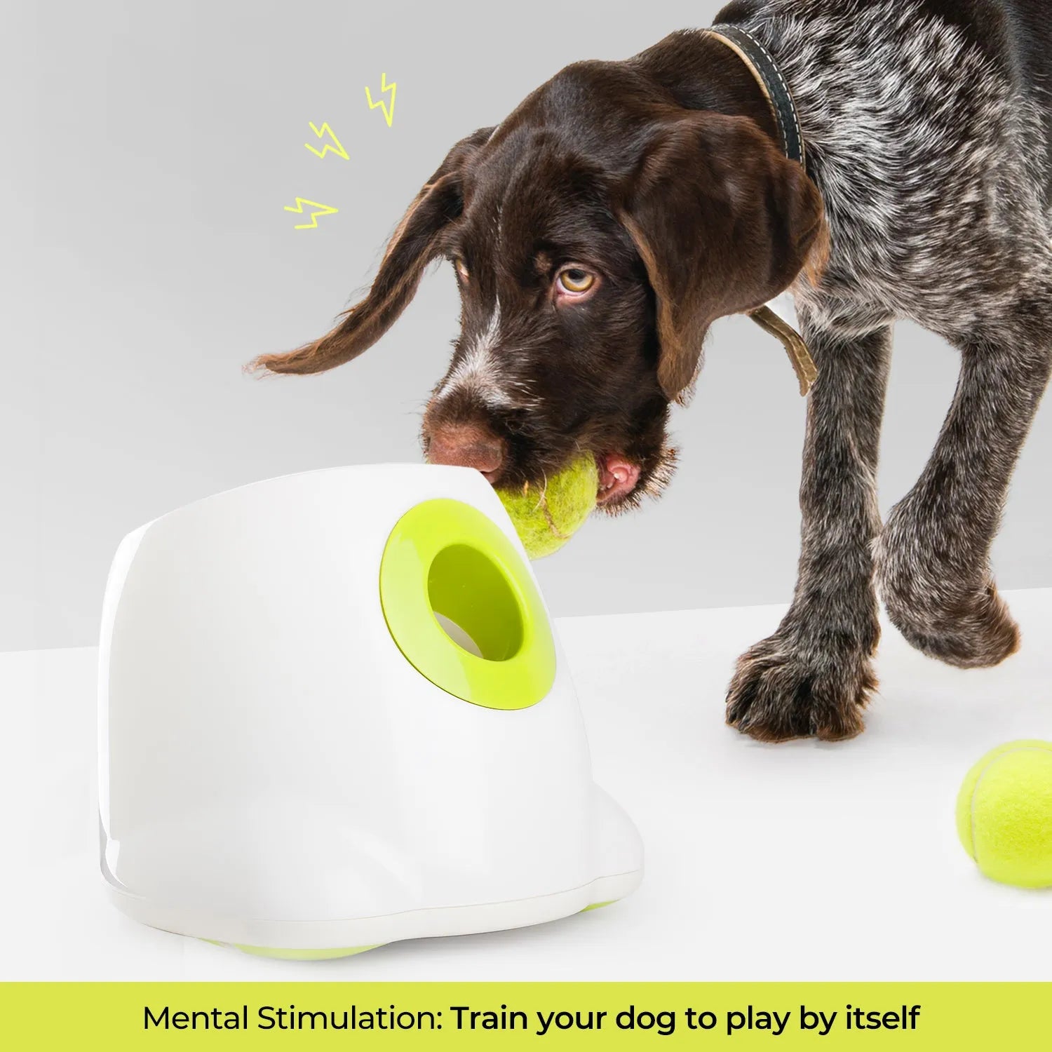 AFP-Allforpaws Mini Hyper Fetch Automatic Ball Launcher for Small Dogs 