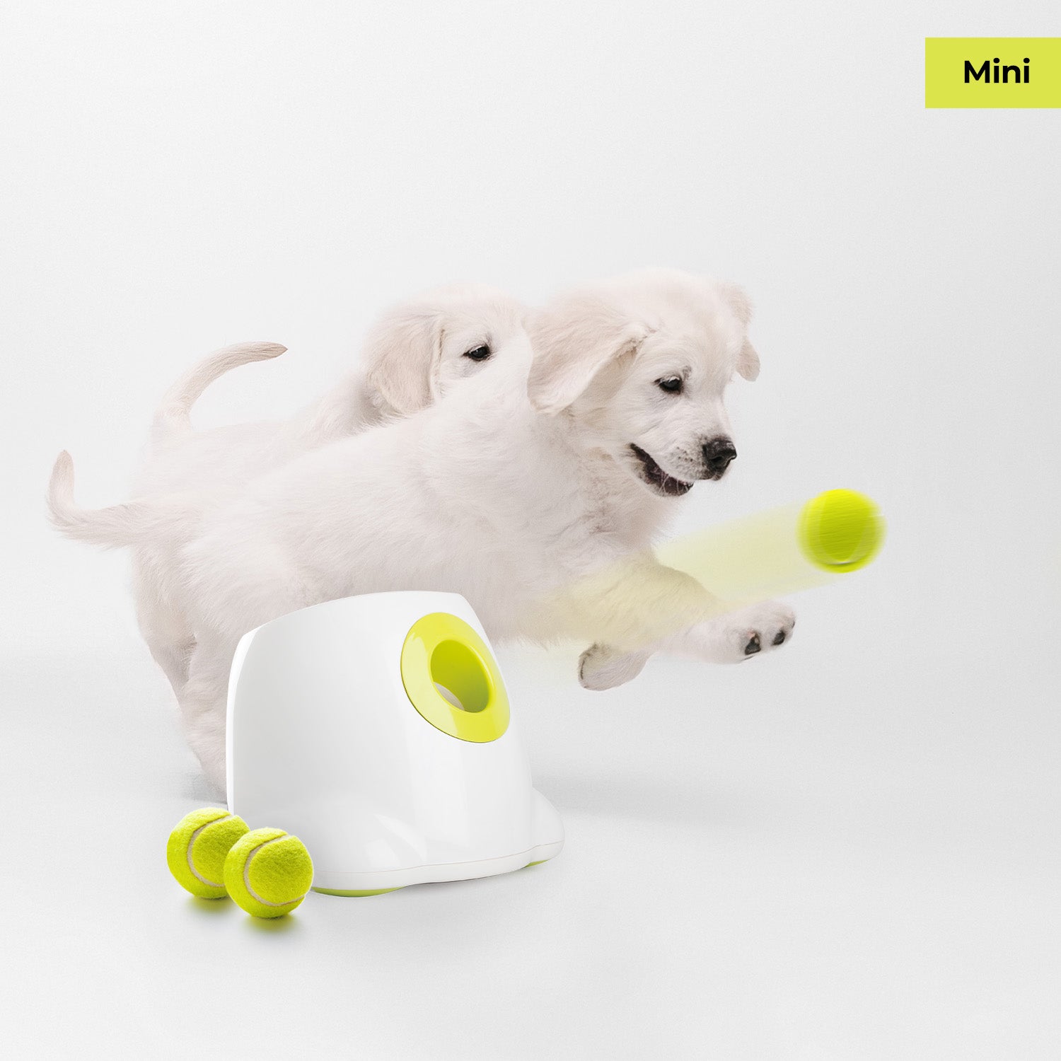 AFP-Allforpaws Mini Hyper Fetch Automatic Ball Launcher for Small Dogs 