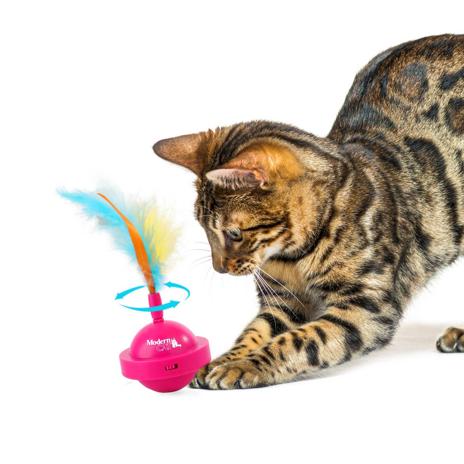 AFP (All For Paws)Modern Cat Spinning Teaser Toy