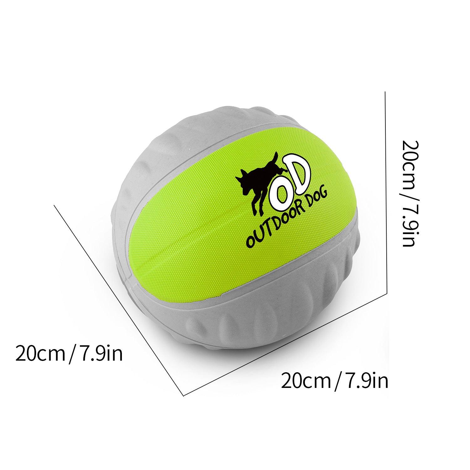 AFP (All For Paws) Multi-Functional Durable Dog Toy