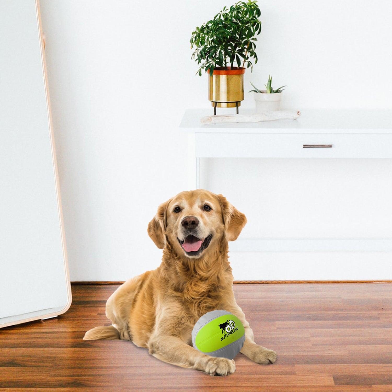 AFP (All For Paws) Multi-Functional Durable Dog Toy