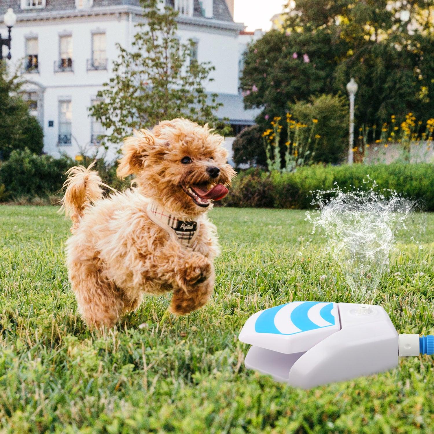 AFP (All For Paws) Paw-Activated Dog Garden Fountain