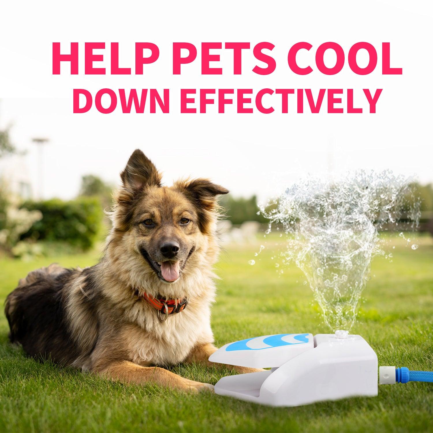 AFP (All For Paws) Paw-Activated Dog Garden Fountain