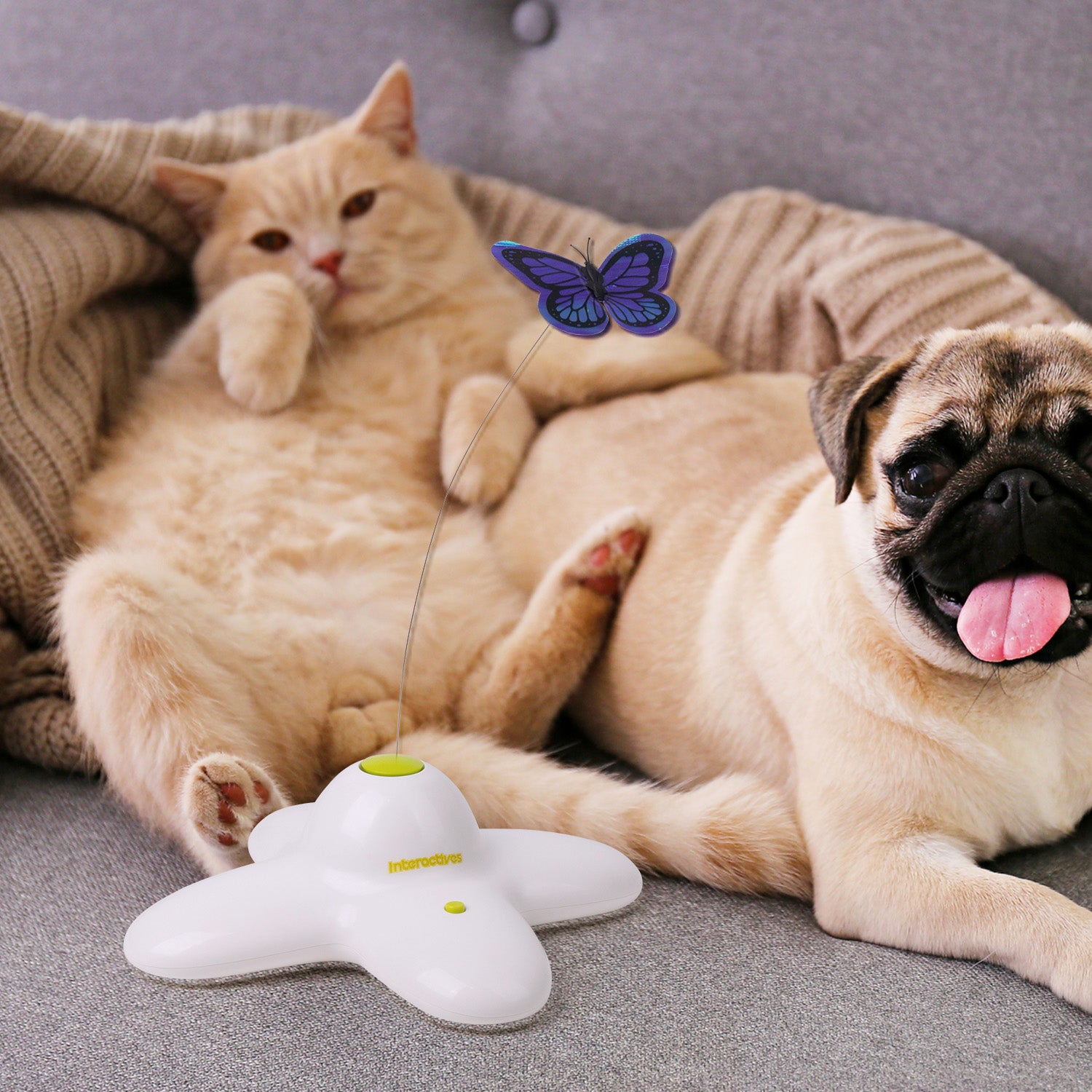 AFP(All For Paws) Pet Products