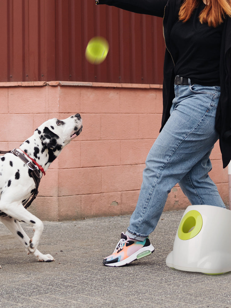 dog ball thrower automatic ball launcher