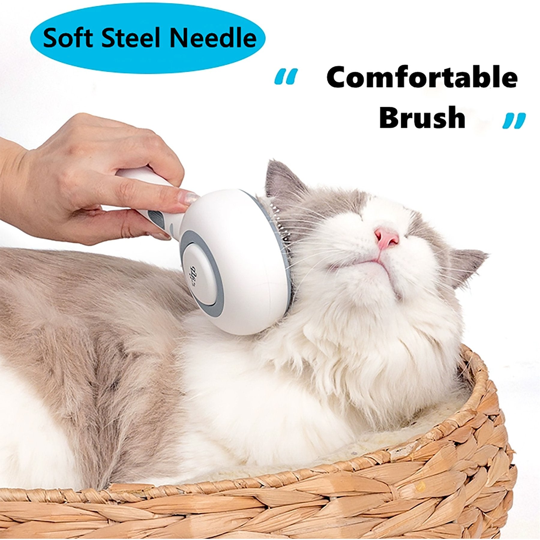 AFP(All For Paws) Pet Products