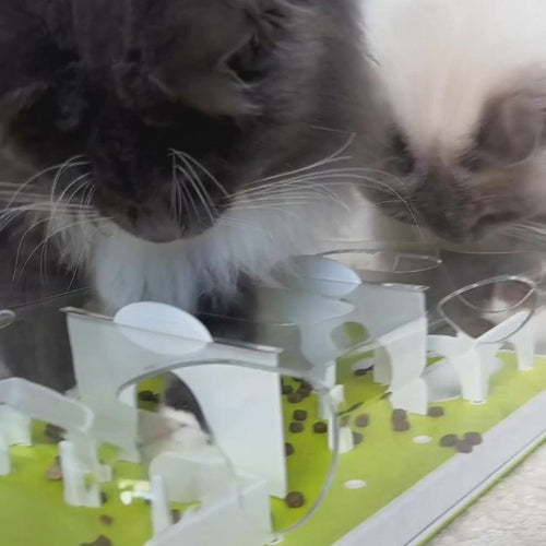 cat puzzle treat maze slow feeder